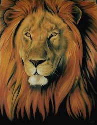 Lion au pastel 60*80cm