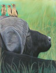 Buffle au pastel 50*70cm