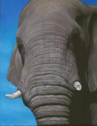 Elephant au pastel 50*70cm